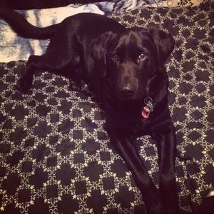 Meet your Posher, Mary rose